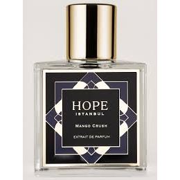 MANGO CRUSH, 100ML - Seinde Signature